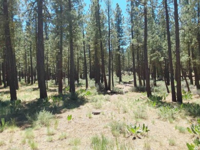 Check out this 1.41 acre golf course lot on the 7th Hole of the on Nakoma Golf Resort in California - for sale on GolfHomes.com, golf home, golf lot