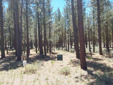 Check out this 1.41 acre golf course lot on the 7th Hole of the on Nakoma Golf Resort in California - for sale on GolfHomes.com, golf home, golf lot