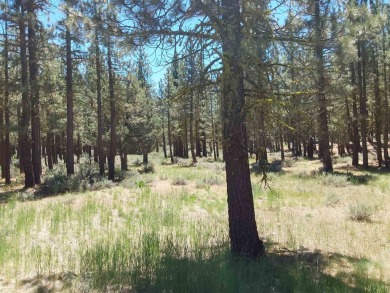 Check out this 1.41 acre golf course lot on the 7th Hole of the on Nakoma Golf Resort in California - for sale on GolfHomes.com, golf home, golf lot