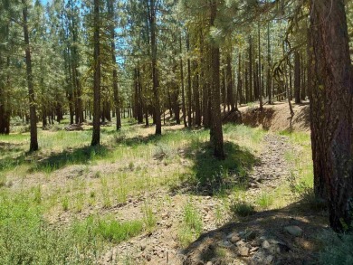 Check out this 1.41 acre golf course lot on the 7th Hole of the on Nakoma Golf Resort in California - for sale on GolfHomes.com, golf home, golf lot