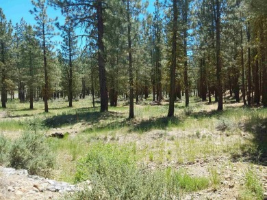 Check out this 1.41 acre golf course lot on the 7th Hole of the on Nakoma Golf Resort in California - for sale on GolfHomes.com, golf home, golf lot