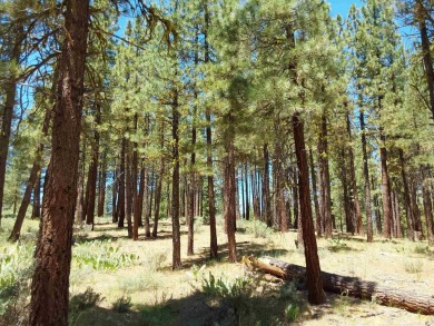 Check out this 1.41 acre golf course lot on the 7th Hole of the on Nakoma Golf Resort in California - for sale on GolfHomes.com, golf home, golf lot