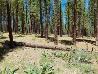 Check out this 1.41 acre golf course lot on the 7th Hole of the on Nakoma Golf Resort in California - for sale on GolfHomes.com, golf home, golf lot