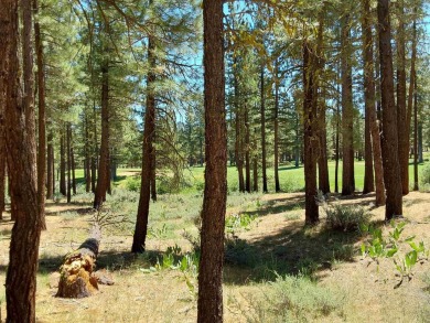 Check out this 1.41 acre golf course lot on the 7th Hole of the on Nakoma Golf Resort in California - for sale on GolfHomes.com, golf home, golf lot