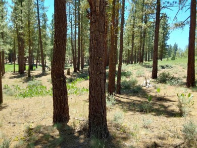 Check out this 1.41 acre golf course lot on the 7th Hole of the on Nakoma Golf Resort in California - for sale on GolfHomes.com, golf home, golf lot