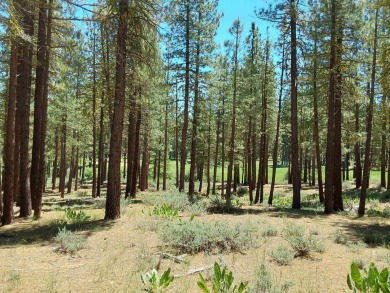 Check out this 1.41 acre golf course lot on the 7th Hole of the on Nakoma Golf Resort in California - for sale on GolfHomes.com, golf home, golf lot