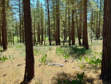Check out this 1.41 acre golf course lot on the 7th Hole of the on Nakoma Golf Resort in California - for sale on GolfHomes.com, golf home, golf lot
