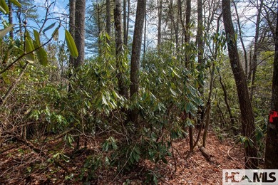 If you're looking for your own private slice of paradise, look on Burlingame Country Club in North Carolina - for sale on GolfHomes.com, golf home, golf lot