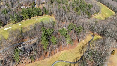 Nice Premium Golf Course Lot in a quiet area of Trillium Links on Trillium Links in North Carolina - for sale on GolfHomes.com, golf home, golf lot
