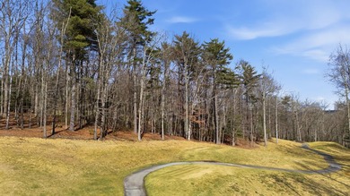 Nice Premium Golf Course Lot in a quiet area of Trillium Links on Trillium Links in North Carolina - for sale on GolfHomes.com, golf home, golf lot