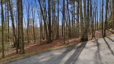 Nice Premium Golf Course Lot in a quiet area of Trillium Links on Trillium Links in North Carolina - for sale on GolfHomes.com, golf home, golf lot