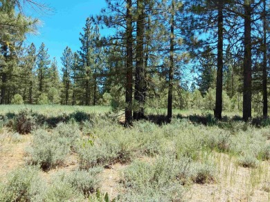 Check out this 3.04 acre golf course lot on the 7th Hole of the on Nakoma Golf Resort in California - for sale on GolfHomes.com, golf home, golf lot