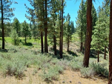Check out this 3.04 acre golf course lot on the 7th Hole of the on Nakoma Golf Resort in California - for sale on GolfHomes.com, golf home, golf lot