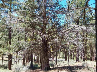 Check out this 3.04 acre golf course lot on the 7th Hole of the on Nakoma Golf Resort in California - for sale on GolfHomes.com, golf home, golf lot