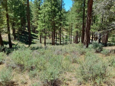 Check out this 3.04 acre golf course lot on the 7th Hole of the on Nakoma Golf Resort in California - for sale on GolfHomes.com, golf home, golf lot