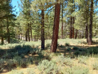 Check out this 3.04 acre golf course lot on the 7th Hole of the on Nakoma Golf Resort in California - for sale on GolfHomes.com, golf home, golf lot