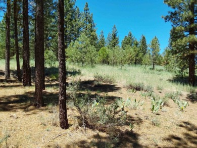 Check out this 3.04 acre golf course lot on the 7th Hole of the on Nakoma Golf Resort in California - for sale on GolfHomes.com, golf home, golf lot