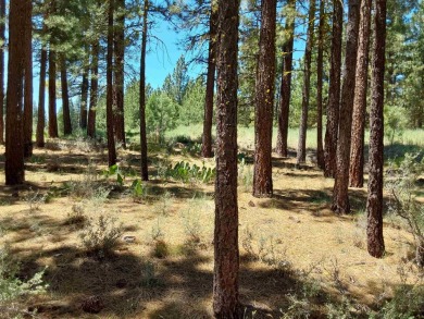 Check out this 3.04 acre golf course lot on the 7th Hole of the on Nakoma Golf Resort in California - for sale on GolfHomes.com, golf home, golf lot