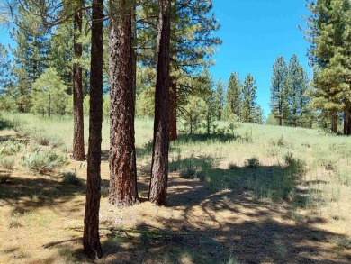 Check out this 3.04 acre golf course lot on the 7th Hole of the on Nakoma Golf Resort in California - for sale on GolfHomes.com, golf home, golf lot