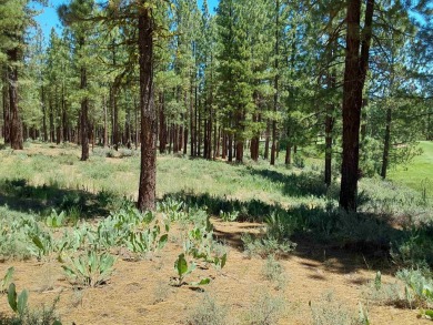 Check out this 3.04 acre golf course lot on the 7th Hole of the on Nakoma Golf Resort in California - for sale on GolfHomes.com, golf home, golf lot