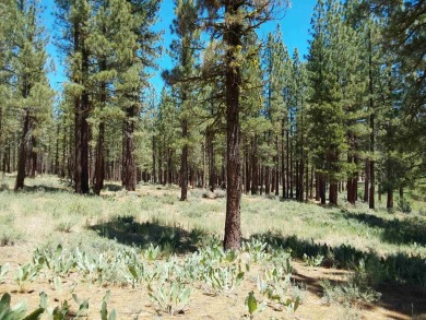Check out this 3.04 acre golf course lot on the 7th Hole of the on Nakoma Golf Resort in California - for sale on GolfHomes.com, golf home, golf lot