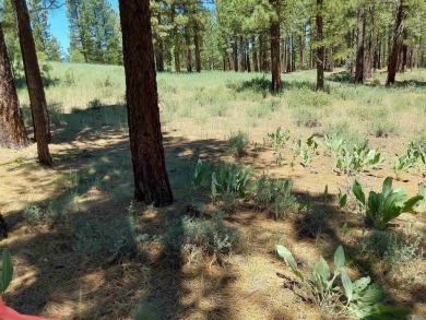 Check out this 3.04 acre golf course lot on the 7th Hole of the on Nakoma Golf Resort in California - for sale on GolfHomes.com, golf home, golf lot