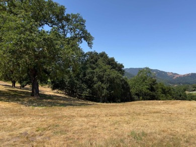 This exceptional 22+ acre golf course property is a rare on  in California - for sale on GolfHomes.com, golf home, golf lot