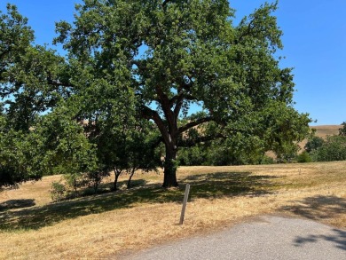 This exceptional 22+ acre golf course property is a rare on  in California - for sale on GolfHomes.com, golf home, golf lot