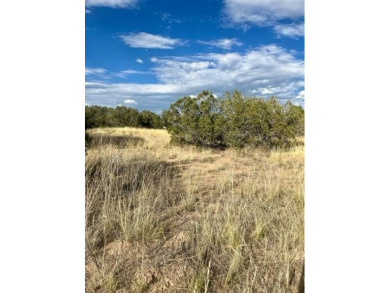 Ready to build your dream home on acreage? This beautiful lot is on The Club At Las Campanas  in New Mexico - for sale on GolfHomes.com, golf home, golf lot