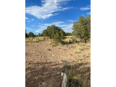 Ready to build your dream home on acreage? This beautiful lot is on The Club At Las Campanas  in New Mexico - for sale on GolfHomes.com, golf home, golf lot