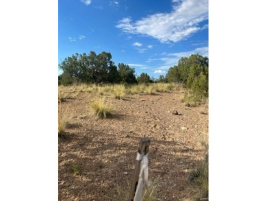 Ready to build your dream home on acreage? This beautiful lot is on The Club At Las Campanas  in New Mexico - for sale on GolfHomes.com, golf home, golf lot