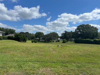 BRING YOUR OWN BUILDER. ONE OF THE LAST FEW REMAINING LOTS WHERE on Harbor Hills Country Club in Florida - for sale on GolfHomes.com, golf home, golf lot