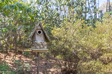 Enjoy sweeping views of Lake Soquilla and Hogback Mountain from on Burlingame Country Club in North Carolina - for sale on GolfHomes.com, golf home, golf lot