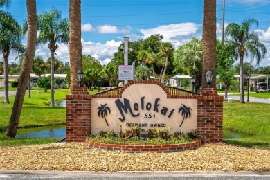 Charming 2-Bedroom Home with Co-op Share in Active 55+ on Lakes at Leesburg Golf Course in Florida - for sale on GolfHomes.com, golf home, golf lot
