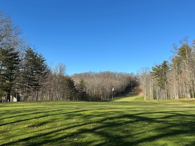 Nestled on the #16 green on Stonehaven Golf Course, this 4 on Glade Springs Resort Golf Course in West Virginia - for sale on GolfHomes.com, golf home, golf lot