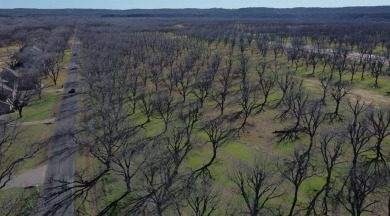 Welcome to this stunning 1.505-acre lot located in the gated on Pecan Plantation Country Club in Texas - for sale on GolfHomes.com, golf home, golf lot