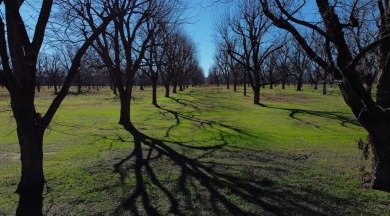 Welcome to this stunning 1.505-acre lot located in the gated on Pecan Plantation Country Club in Texas - for sale on GolfHomes.com, golf home, golf lot