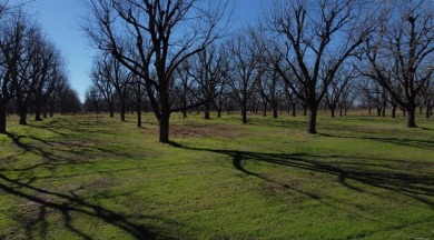 Welcome to this stunning 1.505-acre lot located in the gated on Pecan Plantation Country Club in Texas - for sale on GolfHomes.com, golf home, golf lot