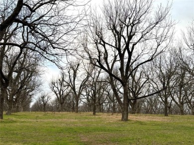 Welcome to this stunning 1.505-acre lot located in the gated on Pecan Plantation Country Club in Texas - for sale on GolfHomes.com, golf home, golf lot