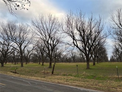 Welcome to this stunning 1.505-acre lot located in the gated on Pecan Plantation Country Club in Texas - for sale on GolfHomes.com, golf home, golf lot