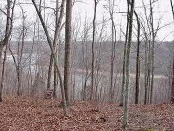 Wonderful wooded lake view lot (with removal of some trees) in on Riverwatch Golf Club in Tennessee - for sale on GolfHomes.com, golf home, golf lot