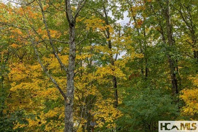 Introducing a Mountain Retreat in the Eagle Ridge Subdivision of on Sapphire National Golf Club in North Carolina - for sale on GolfHomes.com, golf home, golf lot