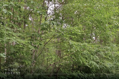 Excellent opportunity to build your home in this popular on Sapphire National Golf Club in North Carolina - for sale on GolfHomes.com, golf home, golf lot