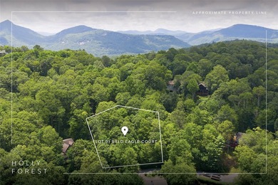 Excellent opportunity to build your home in this popular on Sapphire National Golf Club in North Carolina - for sale on GolfHomes.com, golf home, golf lot