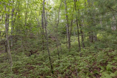 Excellent opportunity to build your home in this popular on Sapphire National Golf Club in North Carolina - for sale on GolfHomes.com, golf home, golf lot