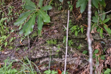 Excellent opportunity to build your home in this popular on Sapphire National Golf Club in North Carolina - for sale on GolfHomes.com, golf home, golf lot