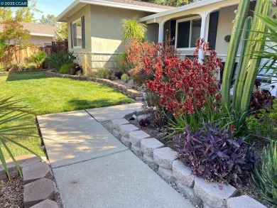 Beautifully updated single-level home on a 12,000 sqft lot! on Boundary Oak Golf Course in California - for sale on GolfHomes.com, golf home, golf lot