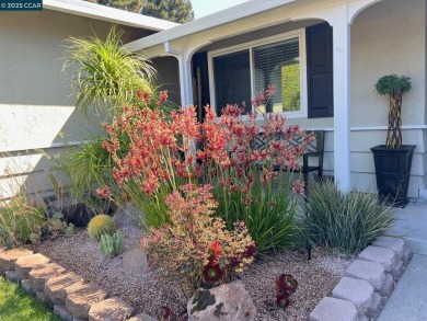 Beautifully updated single-level home on a 12,000 sqft lot! on Boundary Oak Golf Course in California - for sale on GolfHomes.com, golf home, golf lot