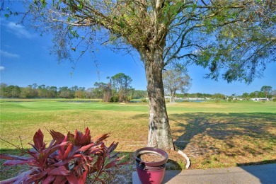 WELCOME TO YOUR BACKYARD OASIS!!!  MOVE-IN-READY, COMPLETELY on Lily Lake Golf and RV Resort in Florida - for sale on GolfHomes.com, golf home, golf lot