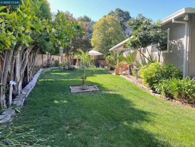 Beautifully updated single-level home on a 12,000 sqft lot! on Boundary Oak Golf Course in California - for sale on GolfHomes.com, golf home, golf lot